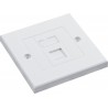 Cat6a FTP RJ45 Loaded Faceplates