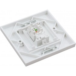 Cat6a FTP RJ45 Loaded Faceplates