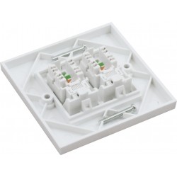 Cat6a FTP RJ45 Loaded Faceplates