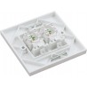 Cat6a FTP RJ45 Loaded Faceplates