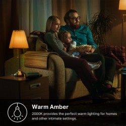 TP-Link KL60 smart lighting Smart bulb Wi-Fi 5.5 W