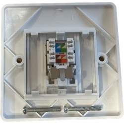 Cat6 FTP  Faceplate back
