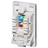 Cat5e UTP RJ45 Modules - Euromod Size
