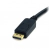 StarTech.com  DP2DVI2MM6 audio/video cable