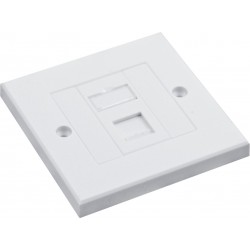 Cat5e UTP RJ45 Loaded Faceplates